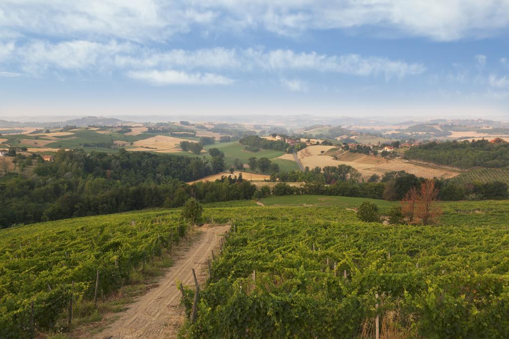 فيلا Crealto Alfiano Natta المظهر الخارجي الصورة